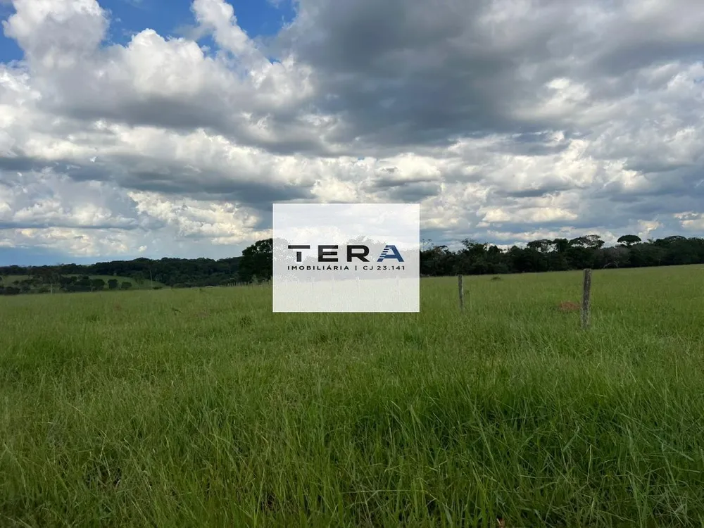 Fazenda, 115 hectares - Foto 2