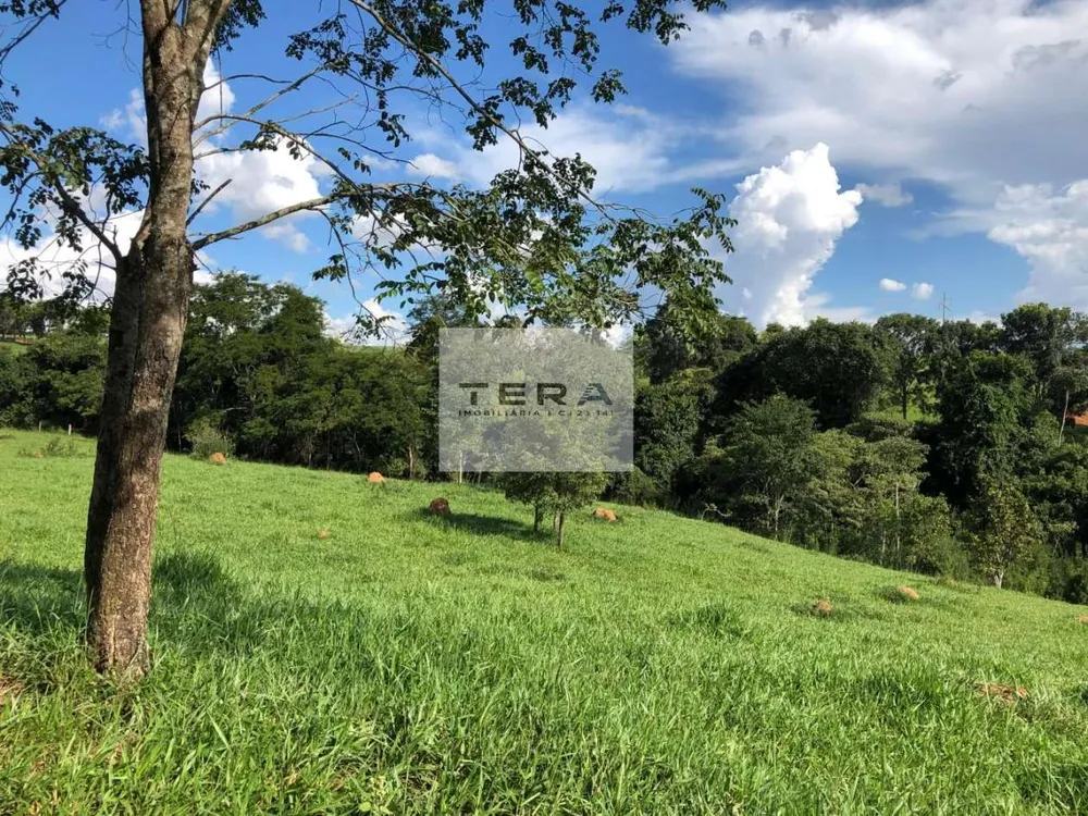 Fazenda, 115 hectares - Foto 9