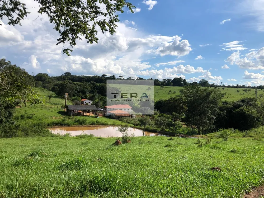 Fazenda, 115 hectares - Foto 8