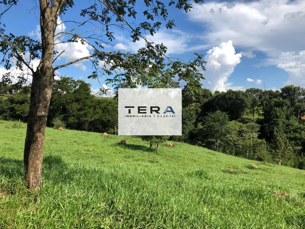 Fazenda, 115 hectares - Foto 6