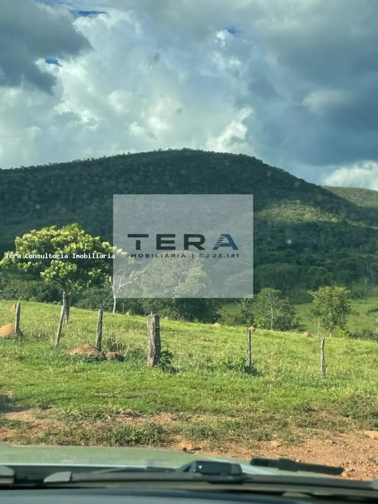 Fazenda, 72 hectares - Foto 6