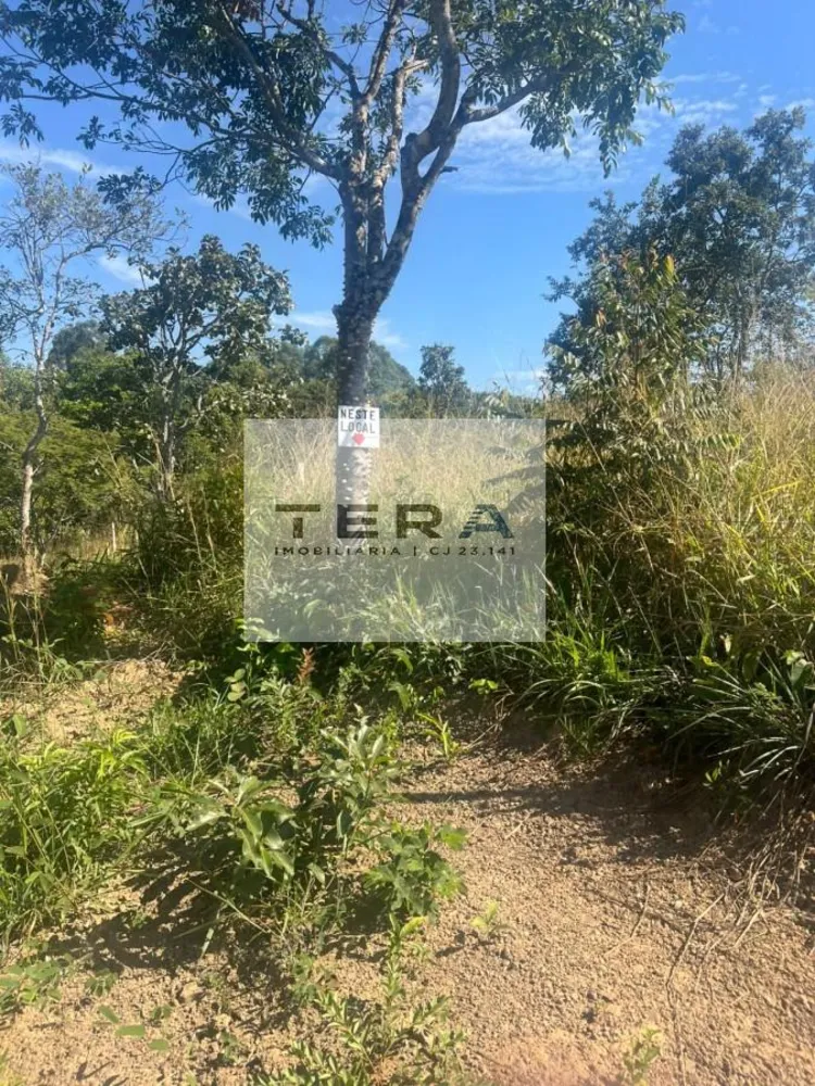 Terreno, 3000 m² - Foto 3