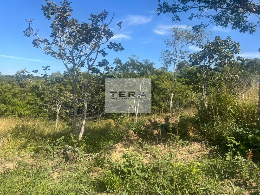 Terreno, 3000 m² - Foto 6