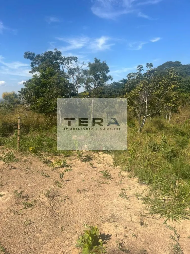 Terreno, 3000 m² - Foto 5