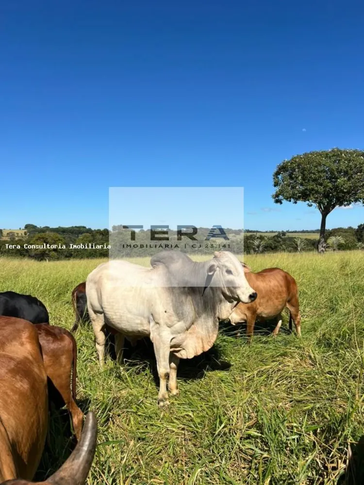 Chácara, 2 hectares - Foto 1