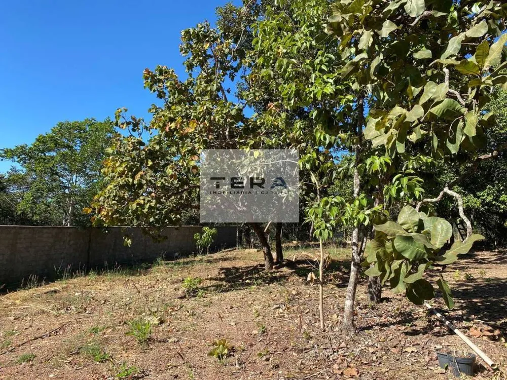 Terreno, 1350 m² - Foto 6