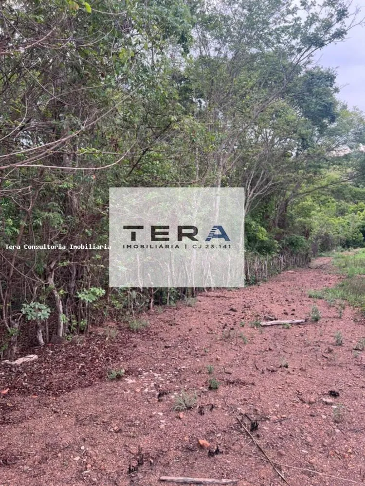 Terreno, 5087 m² - Foto 2