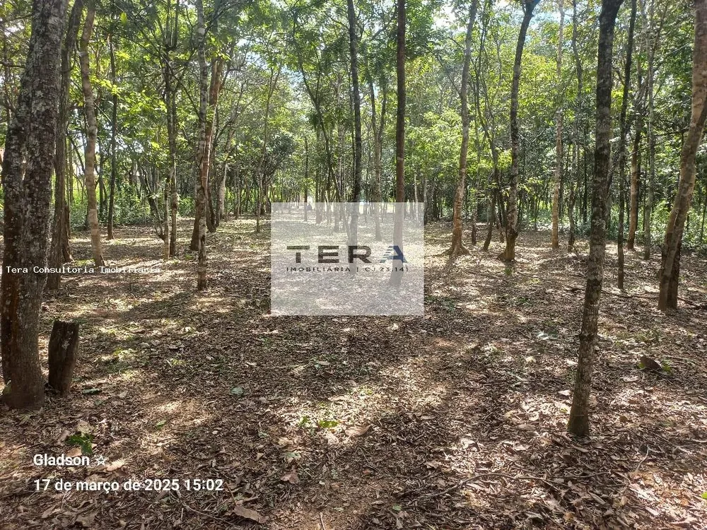 Terreno, 1890 m² - Foto 5