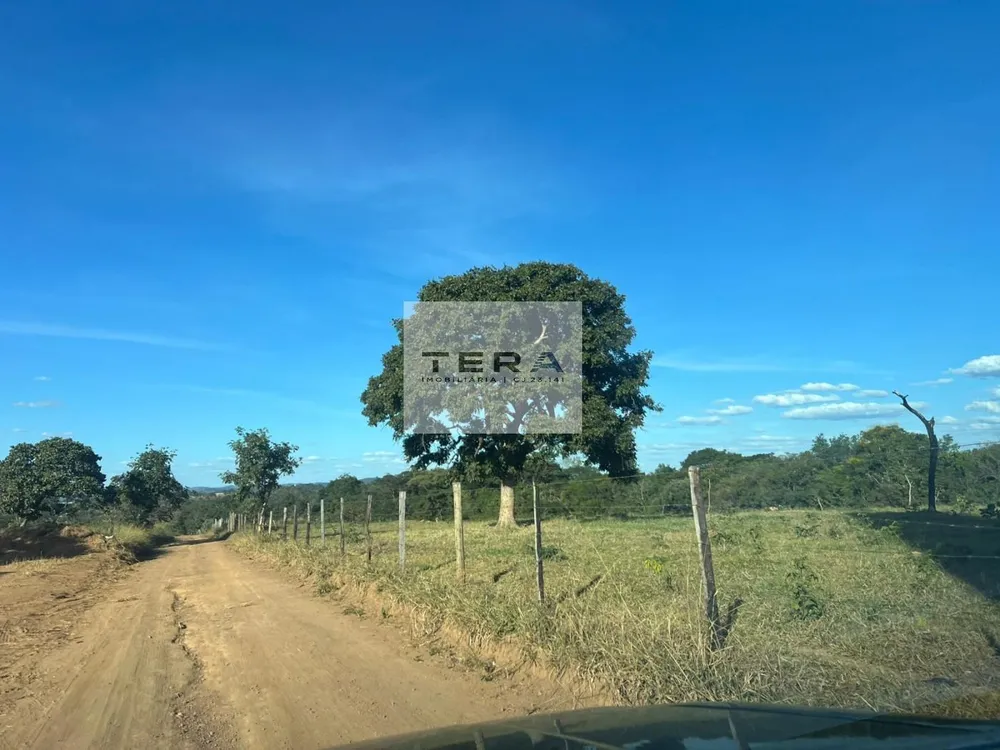 Terreno, 4 hectares - Foto 7