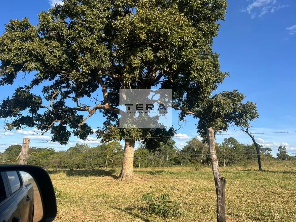 Terreno, 4 hectares - Foto 1