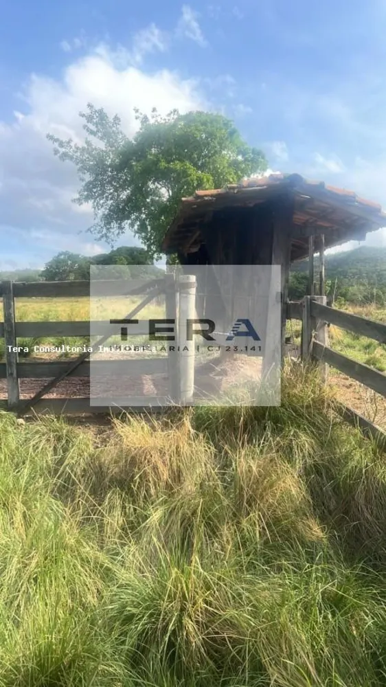 Chácara - Foto 8
