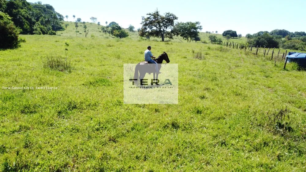 Fazenda, 87 hectares - Foto 5