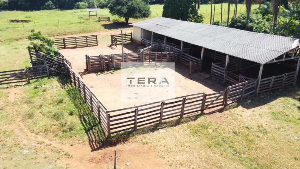 Fazenda, 87 hectares - Foto 3
