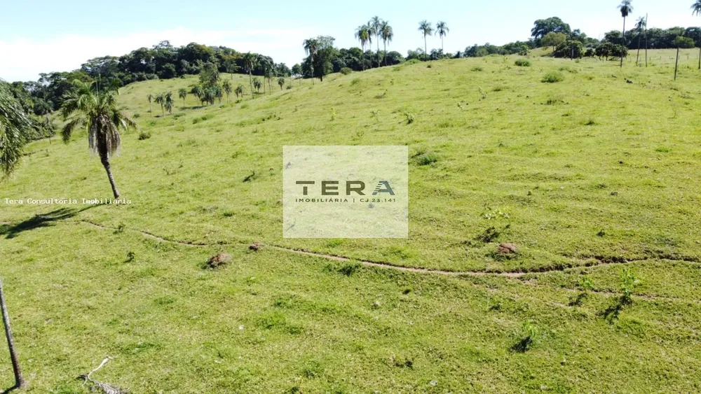 Fazenda, 87 hectares - Foto 6