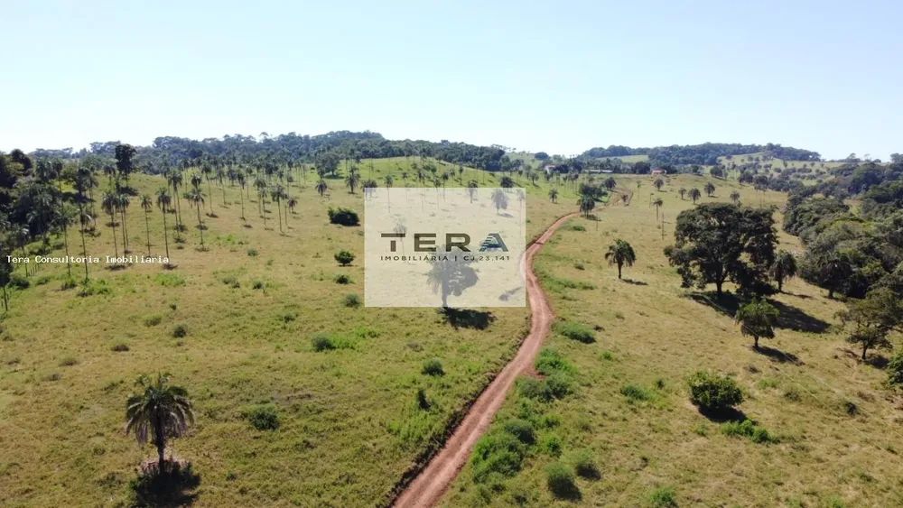 Fazenda, 87 hectares - Foto 1