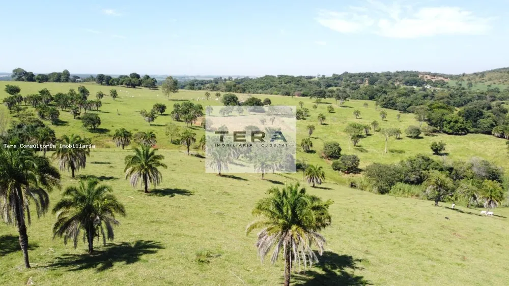 Fazenda, 87 hectares - Foto 7