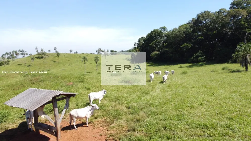 Fazenda, 87 hectares - Foto 4