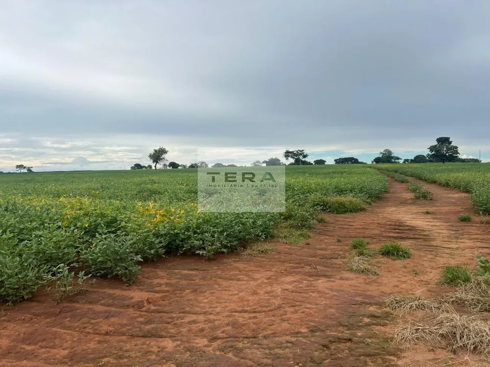 Terreno, 14 hectares - Foto 2