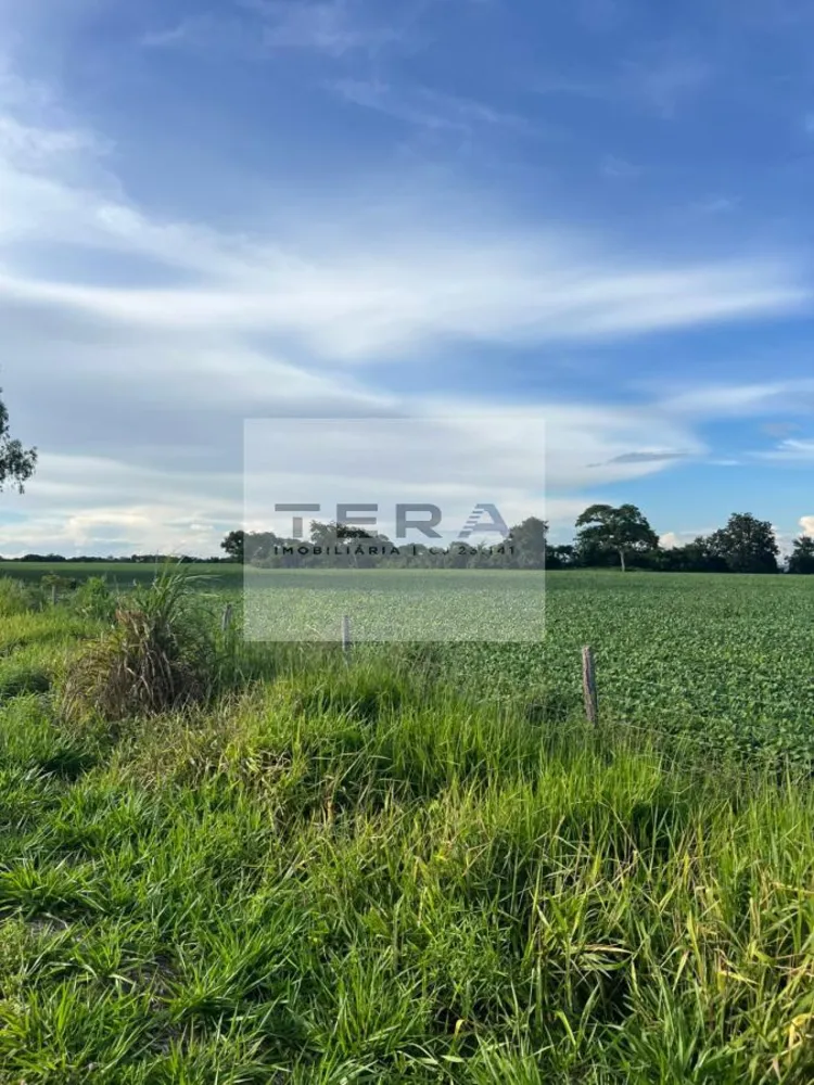 Terreno, 14 hectares - Foto 4