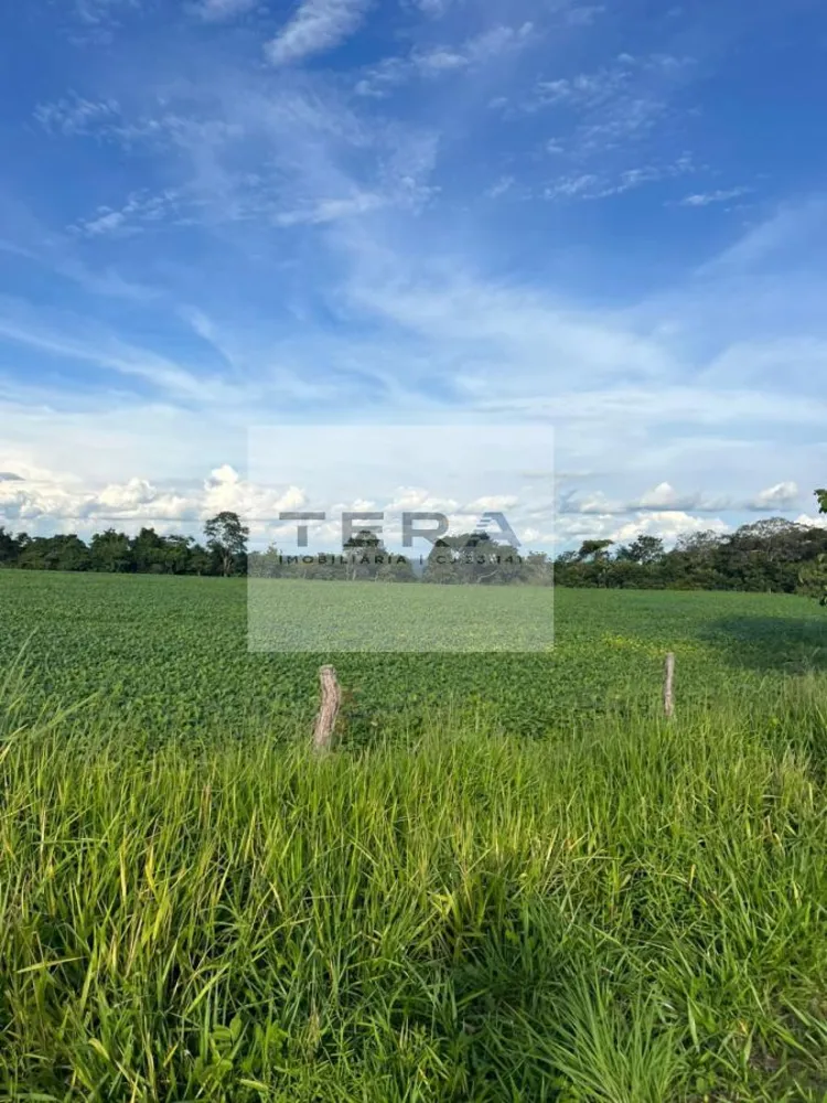 Terreno, 14 hectares - Foto 3