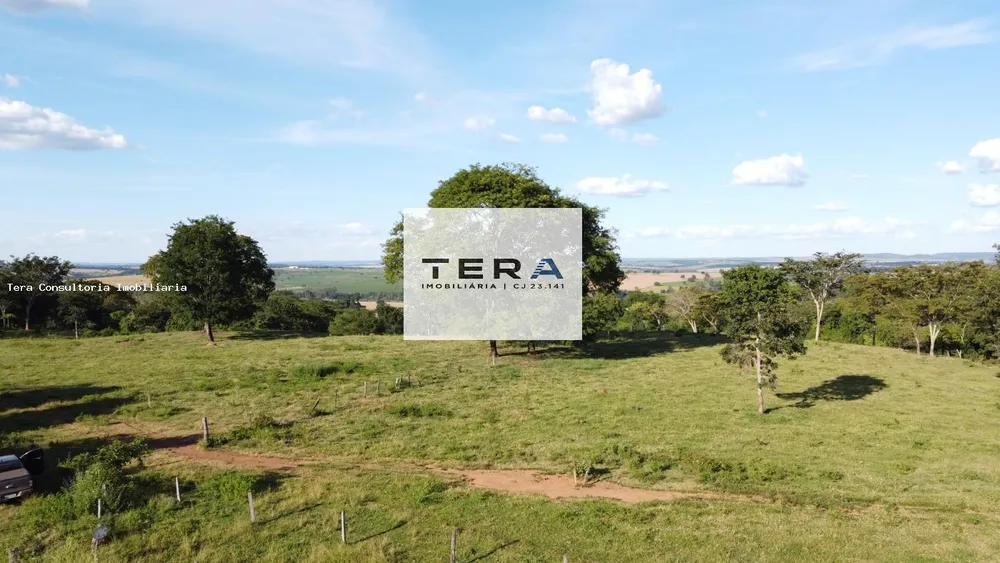 Fazenda, 48 hectares - Foto 3