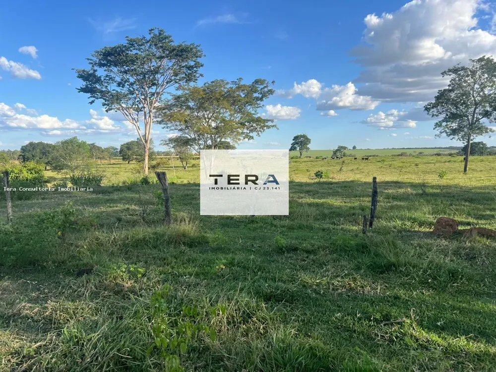 Fazenda, 48 hectares - Foto 7