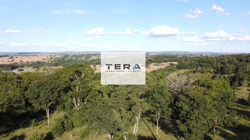 Fazenda, 48 hectares - Foto 1