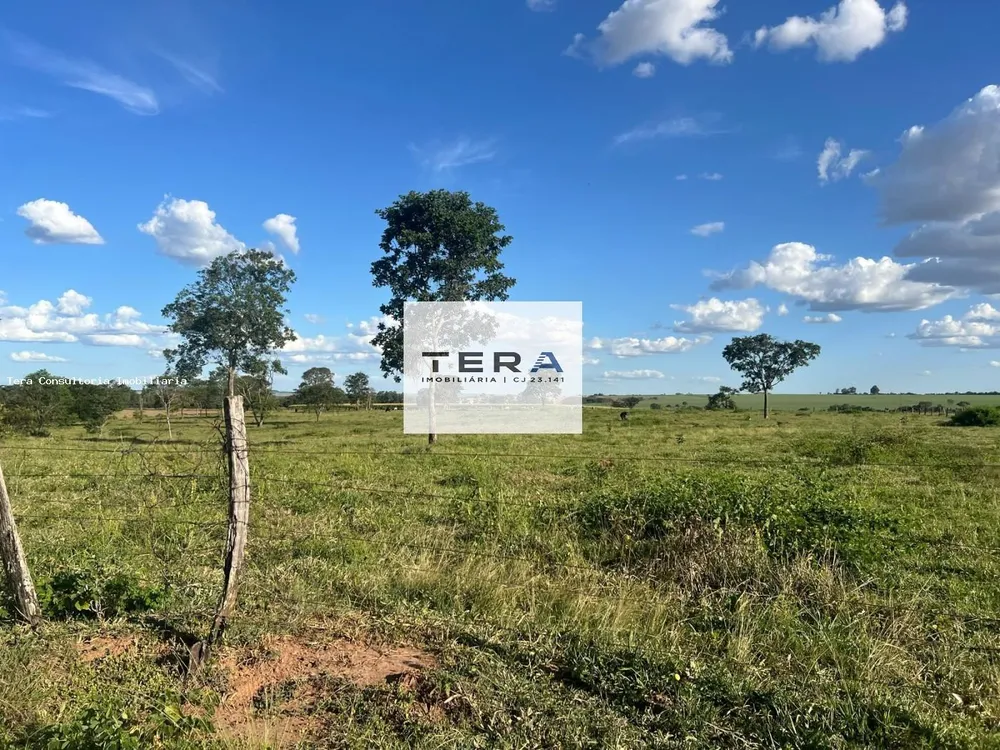 Fazenda, 48 hectares - Foto 6