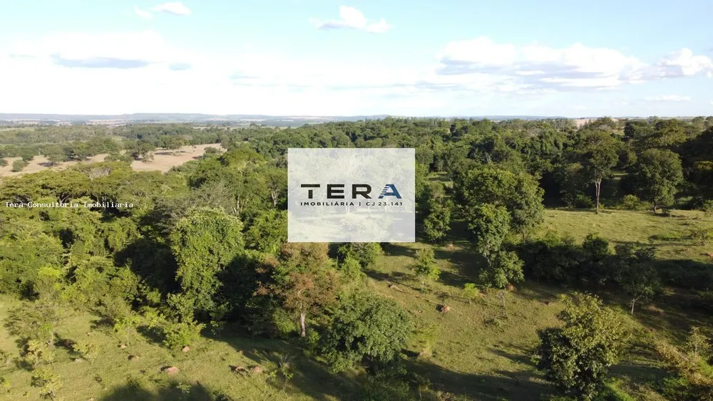 Fazenda, 48 hectares - Foto 4