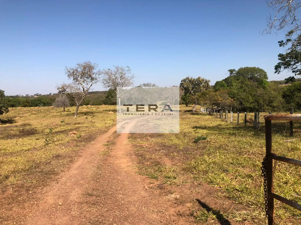 Fazenda, 34 hectares - Foto 10