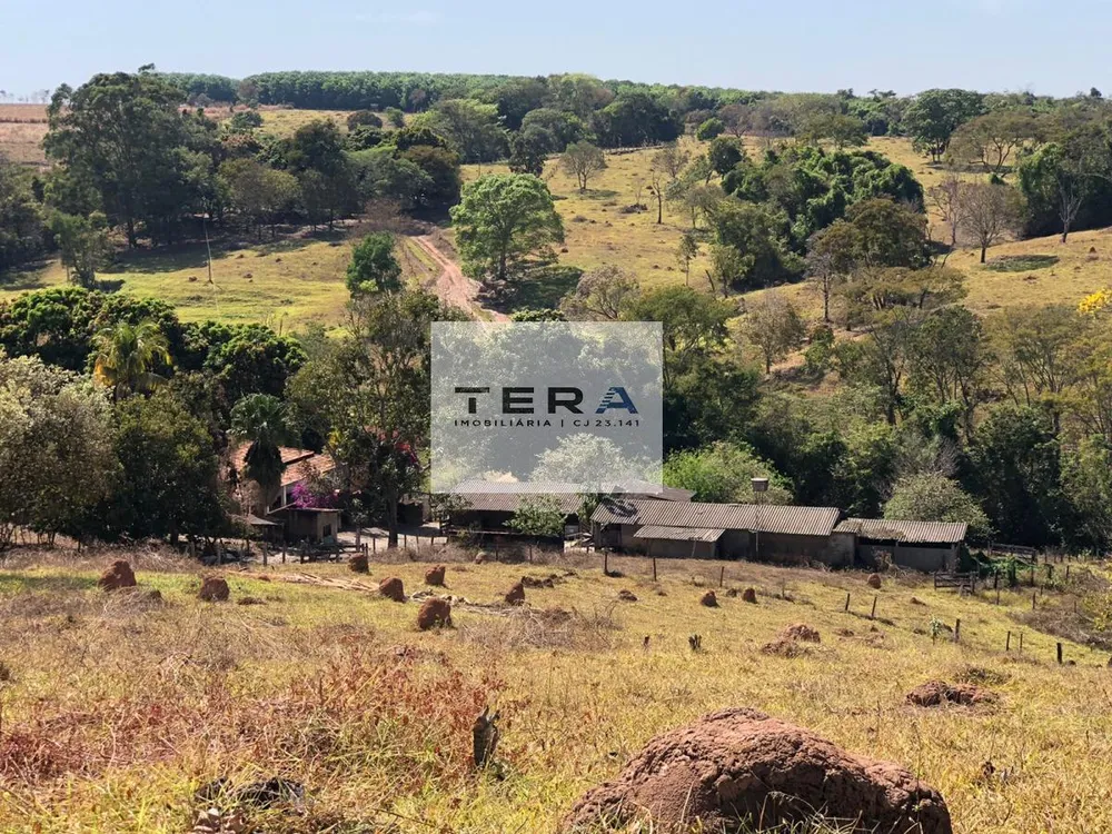 Fazenda, 34 hectares - Foto 8
