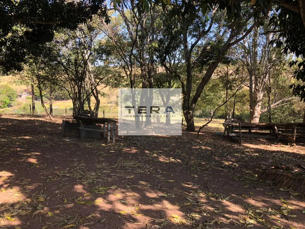 Fazenda, 34 hectares - Foto 4