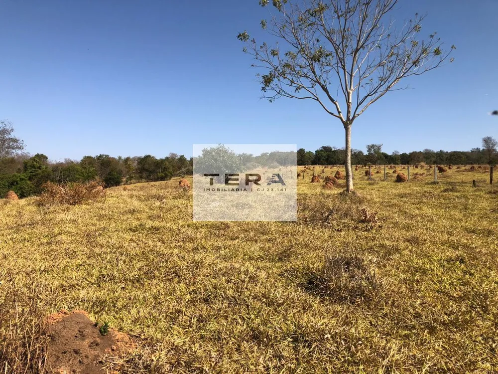 Fazenda, 34 hectares - Foto 12