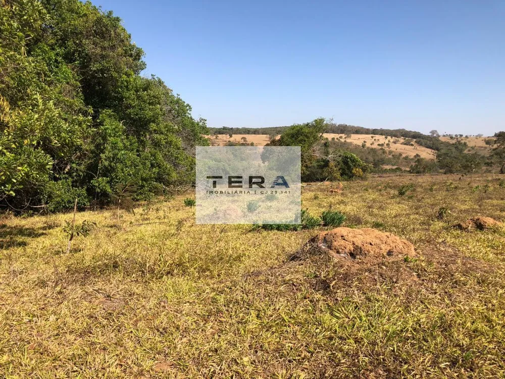 Fazenda, 34 hectares - Foto 11