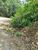 Terreno, 1 hectares - Foto 2