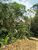 Terreno, 1 hectares - Foto 3