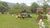 Chácara, 3 quartos, 1 hectares - Foto 4