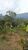 Chácara, 3 quartos, 1 hectares - Foto 16
