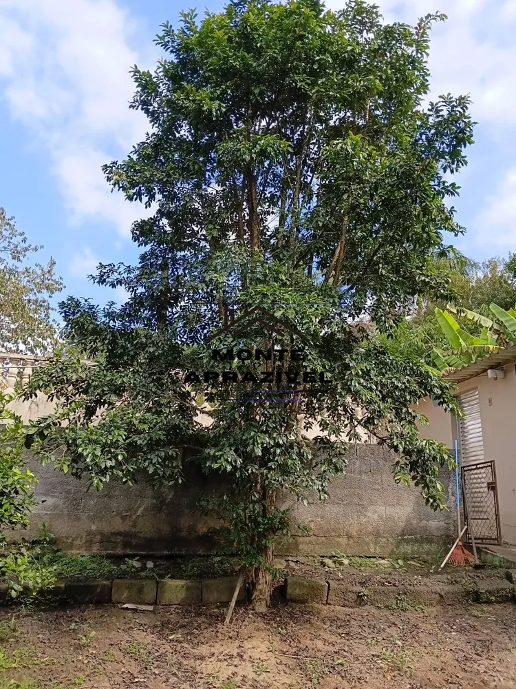 Chácara, 3 quartos, 1100 m² - Foto 1