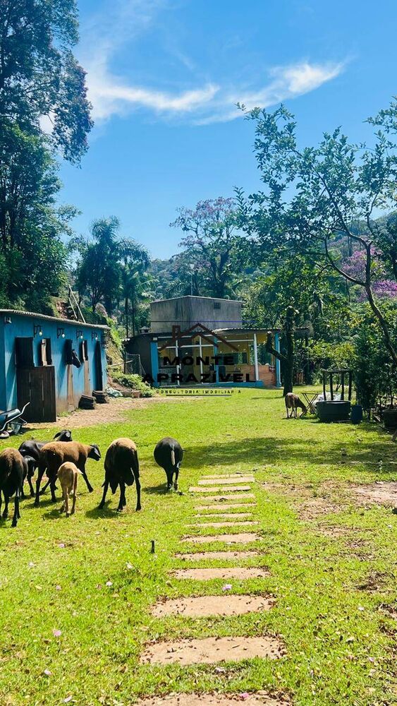 Chácara, 2 quartos, 2 hectares - Foto 8
