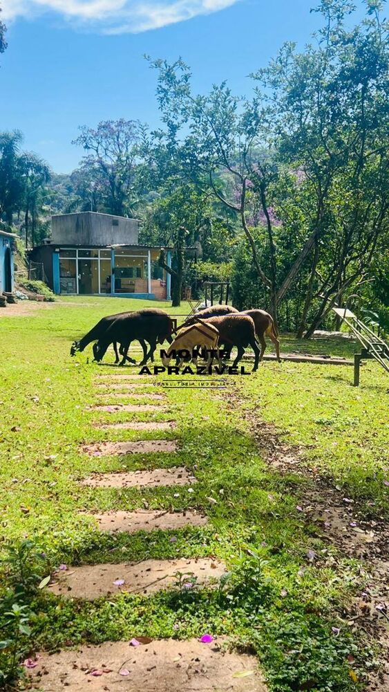 Chácara, 2 quartos, 2 hectares - Foto 7