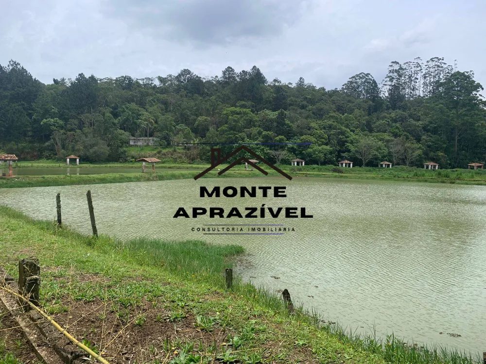 Sítio, 3 quartos, 105 hectares - Foto 4