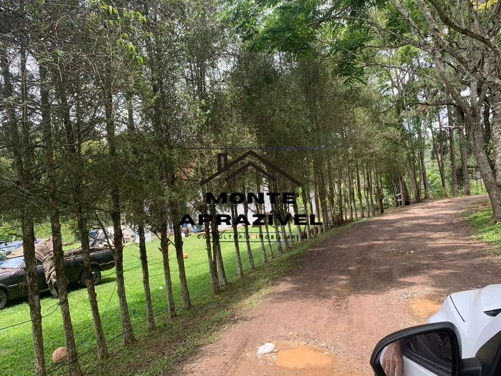 Sítio, 3 quartos, 105 hectares - Foto 1