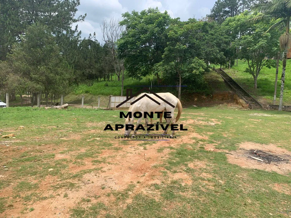 Sítio, 3 quartos, 105 hectares - Foto 3