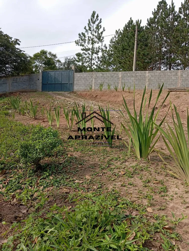 Chácara, 2 quartos, 6000 m² - Foto 8