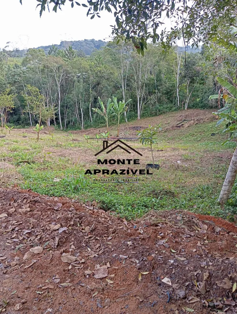 Chácara, 2 quartos, 6000 m² - Foto 2