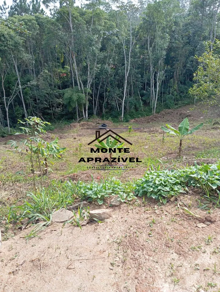 Chácara, 2 quartos, 6000 m² - Foto 4
