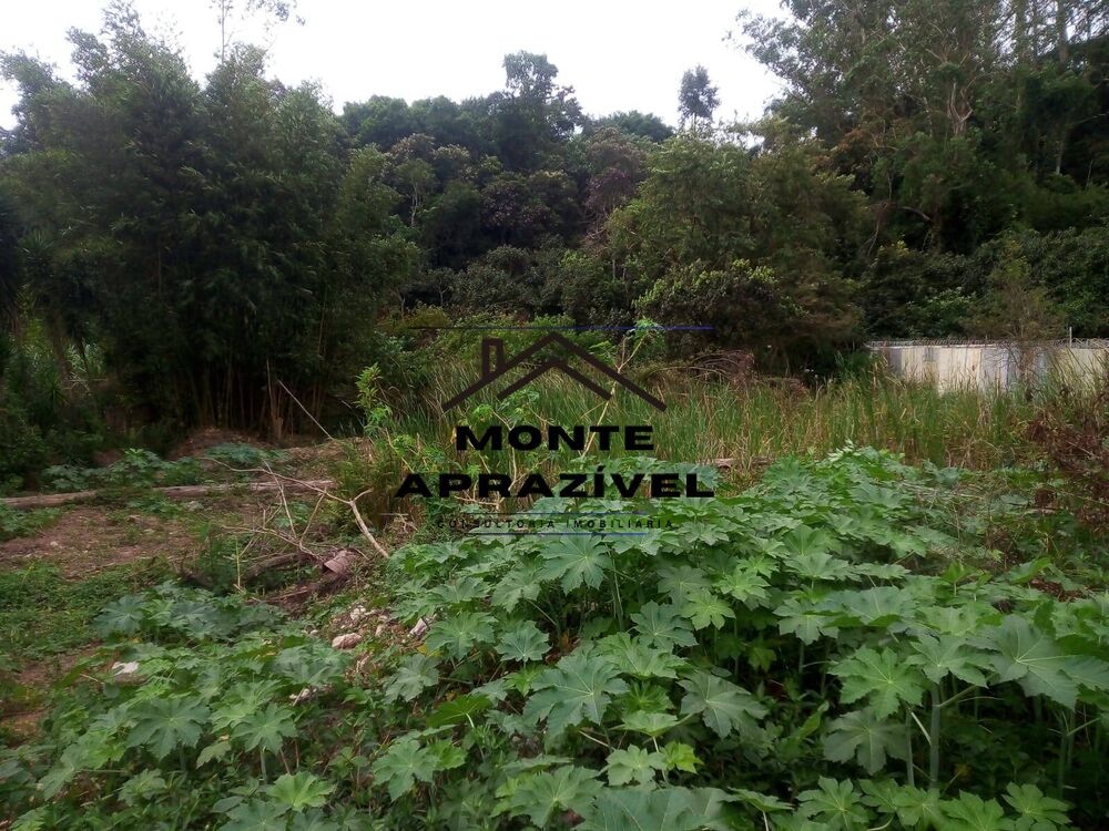 Terreno, 3547 m² - Foto 3