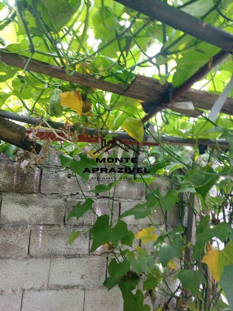 Chácara, 3 quartos, 800 m² - Foto 20