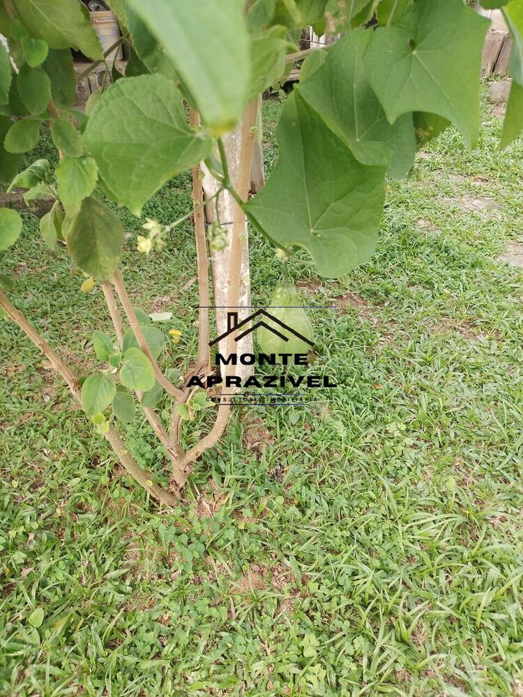 Chácara, 3 quartos, 800 m² - Foto 31